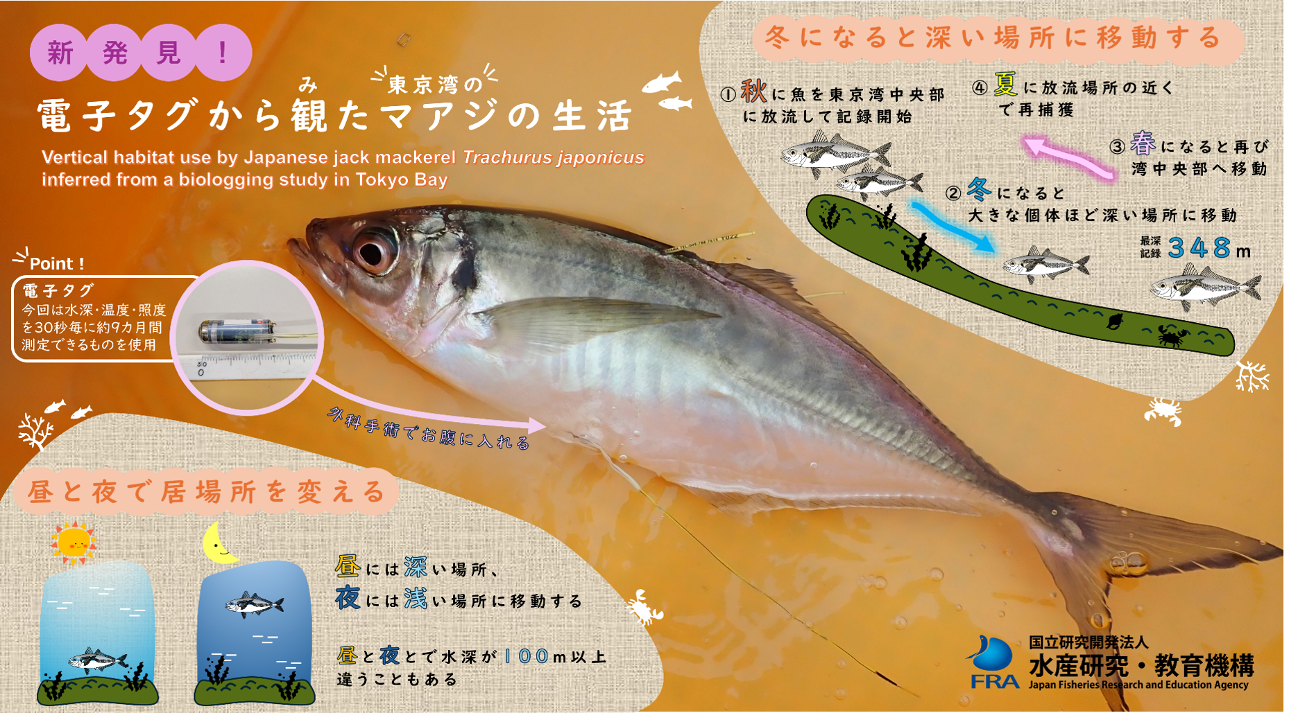 説明図