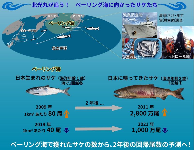 説明の図