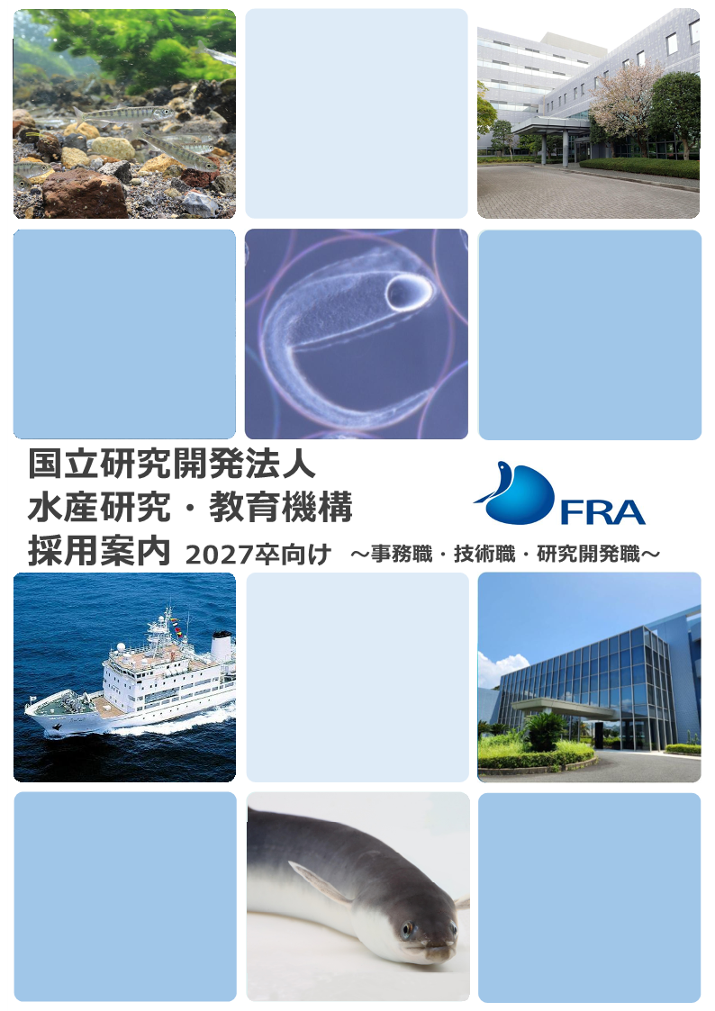 採用案内2027卒向け