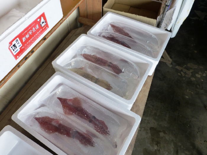 活イカの発送箱の画像