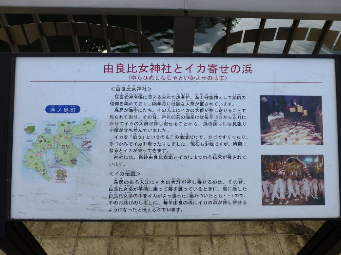 イカ寄せの浜看板の画像