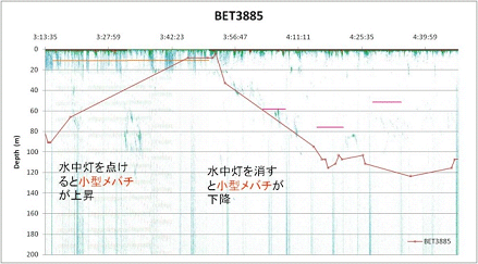 小型メバチのグラフ