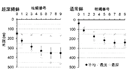 浮縄の試験のグラフ