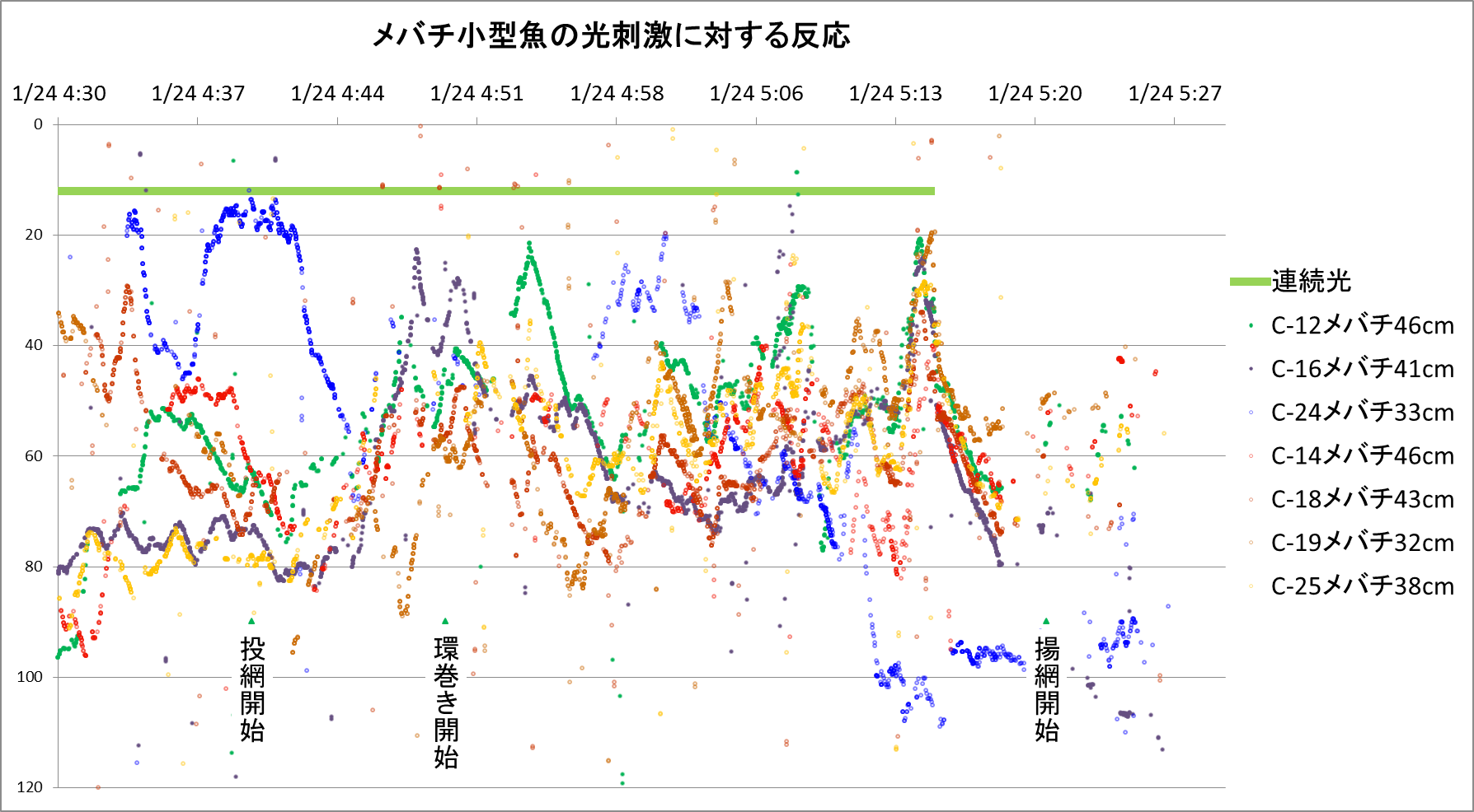 メバチ小型魚の光刺激に対する反応のグラフ
