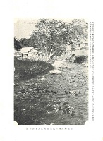 樺太鱒産卵の為大山川に遡上の壮観