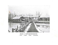 西越採卵場