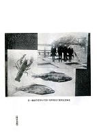 北海道鮭鱒孵化場採卵場に於ける岡部侍従御一行
