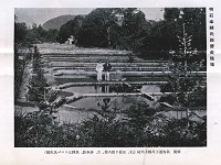 上川養鱒場
