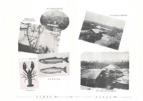 虹別孵化場4、5