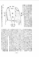 千歳川で捕獲された鮭の両性2