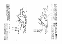 鮭鱒の回遊経路図