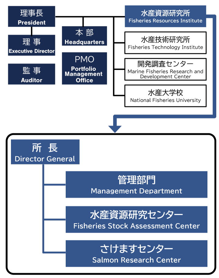 水産資源研究所組織図